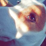 Roni-A kis Russell - @roni.jrt Instagram Profile Photo