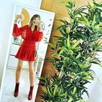Alexandra Rose Fairless - @alexandrafairless Instagram Profile Photo