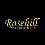 Rosehill Horses - @rosehill_horses Instagram Profile Photo
