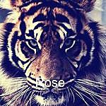 Rose Mcduffie - @rosemcduffie23 Instagram Profile Photo