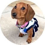 Ruby Siler - @officialrubythedoxie Instagram Profile Photo