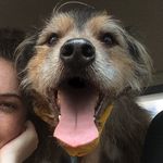 rufus dennis - @puprufus Instagram Profile Photo