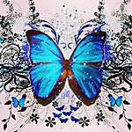 Ryan Breeze - @mico_butterfly Instagram Profile Photo