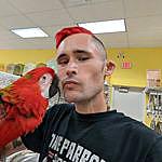 Ryan Mueller - @parrots_reptile_life4me Instagram Profile Photo