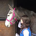 Amelia Sage-Lloyd - @delilah_equestrian05 Instagram Profile Photo