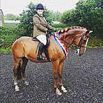 Samantha McDermott - @just.two.orange.horses Instagram Profile Photo