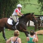 Sandra Donnelly - @donnellyeventing Instagram Profile Photo