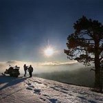 Sandy Price - @bearvalleysnowmobile Instagram Profile Photo