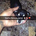 Sasha Carter - @_sashacarter Instagram Profile Photo