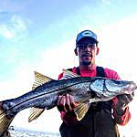 Sean Thurman - @saltbloodfishing Instagram Profile Photo