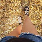 Shaina Hardin - @shainahardin Instagram Profile Photo