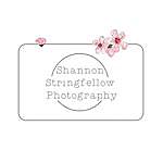 Shannon Stringfellow - @shan.stringfellowphotography Instagram Profile Photo