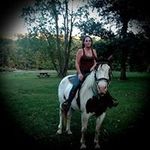 Sharon Flynn - @flynn6570 Instagram Profile Photo