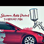 shawn taylor - @shawnautopaint Instagram Profile Photo