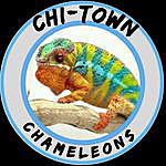 Shawn Thompson - @chitown_chameleons Instagram Profile Photo