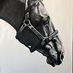 Shelly Presley Horse/pet Art - @presleyshelly Instagram Profile Photo