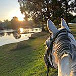 Sheridan Wilson - @patanga.lodge.equestrian Instagram Profile Photo