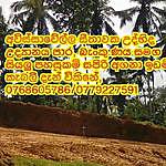 shon hardy - @shan_srilanka_777 Instagram Profile Photo