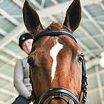 Sidney Goff - @a.positive.equestrian Instagram Profile Photo
