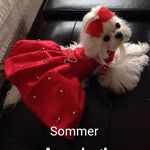 Sommer Rogers - @sommersierrarogers Instagram Profile Photo