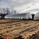 Aberlin Springs Farm - @aberlinspringsfarm Instagram Profile Photo