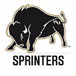 Harding University Sprints - @harding_sprinters Instagram Profile Photo