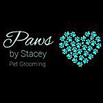 Stacey Bacigalupo - @pawsbystacey Instagram Profile Photo