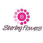 Sterling Flowers - @sterlingflowersltd Instagram Profile Photo