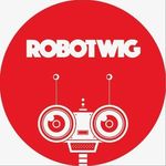 Steve Berry - @robotwig Instagram Profile Photo