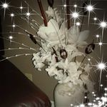 Susan Currie - @currie1876 Instagram Profile Photo