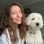 Susan Elliott - @susancelliott Instagram Profile Photo