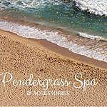 Susan Pendergrass - @pendergrass.soaps Instagram Profile Photo