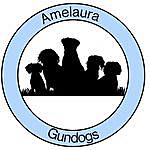 Zoe Hudson - Amelaura Gundogs - @amelauragundogsanddogtraining Instagram Profile Photo