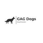 G.A.G Dogs Breeder Tanzania - @gagdogs_tanzania Instagram Profile Photo