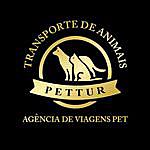 PETTUR Transporte de Animais - @petturtransportes Instagram Profile Photo