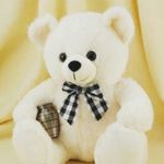 Boneka Teddy Bear X Beary Land - @boneka.teddy.bear Instagram Profile Photo