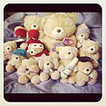 Hallmark Forever Friends,Teddy - @hallmark_forever_friends Instagram Profile Photo