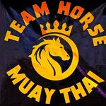 Team Horse Muay Thai - @ctteamhorse Instagram Profile Photo