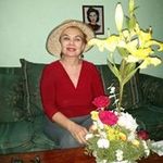 Teresa Bayardo Hermosillo - @bayardohermosillo Instagram Profile Photo