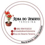 ROSA DO DESERTO TERESINA - @rosadodesertoteresina Instagram Profile Photo