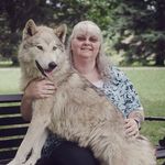 Teresa Westfall-Knight - @wolf_lover1212 Instagram Profile Photo