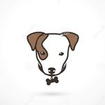 Jack Russel Terrier Romania - @jackrussel.romania Instagram Profile Photo