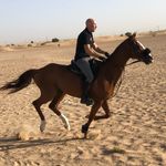 TimoinDubai - @raphaelandrew40 Instagram Profile Photo