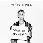 Justin Bieber - @stolzer_belieber_bis_zum_tod Instagram Profile Photo