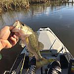 Tommy Boles - @deep_south_kayak_fishing Instagram Profile Photo