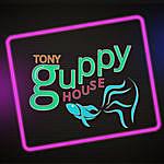 Tony Guppy House - @_tonyguppyhouse Instagram Profile Photo