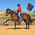 Tony Lander - @equisit_wayoflife.horse Instagram Profile Photo