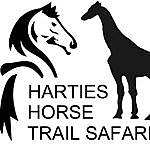 Harties Horse Trail Safaris - @hartieshorsetrailsafaris Instagram Profile Photo