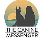 Tracy Vail - @thecaninemessenger Instagram Profile Photo