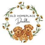 Tracy Blakely Emory - @old_homeplacedoodles Instagram Profile Photo